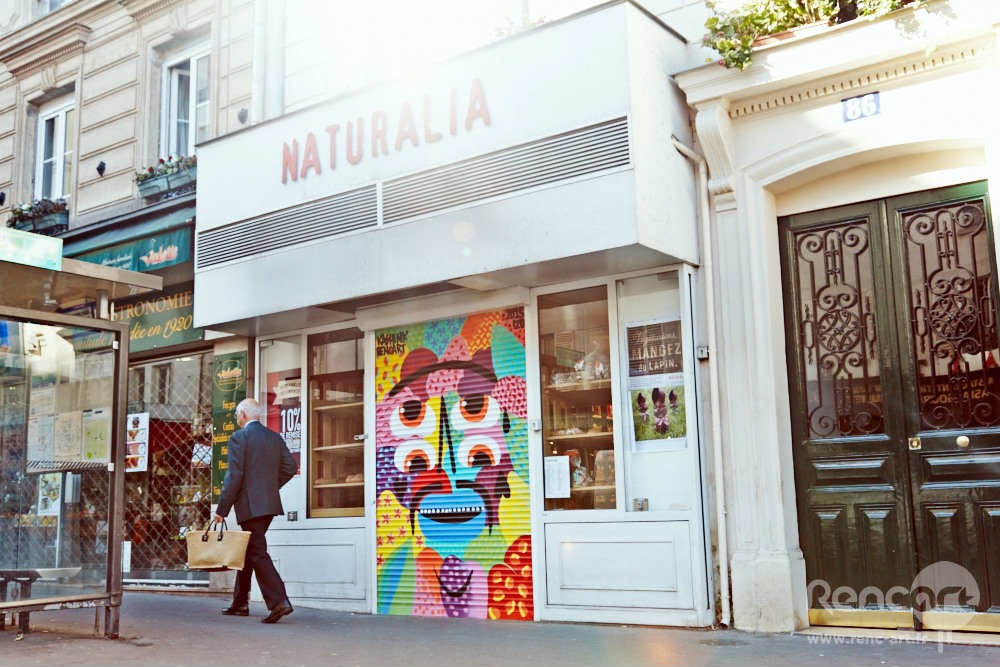 Magnifique Fresque de @kashink1 sous le soleil, pour @Naturalia_magasins_bio ☀️🎨
Envie d'une fresque street art dans vos bureaux ou votre boutique ? Checkez le lien en bio 🔗
#streetart #paris #shop #art #fresque