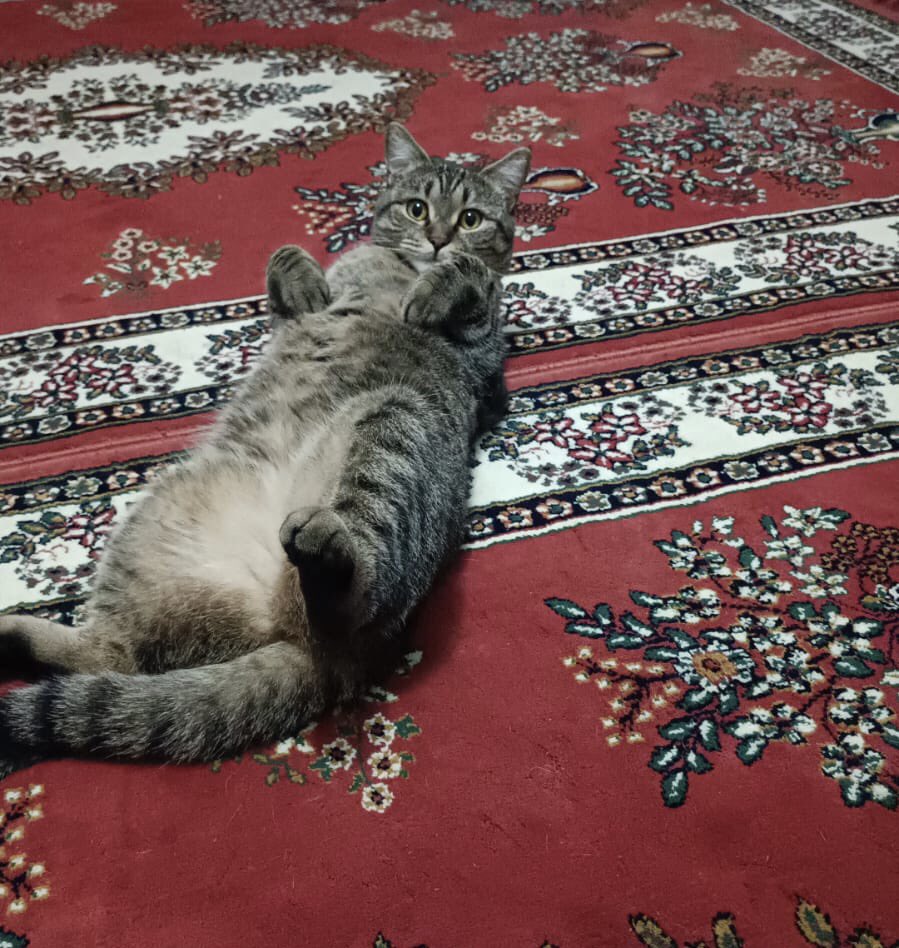 sameetcnoz's tweet photo. hiç öyle bakma ekmeğini taştan çıkarma vakti https://t.co/MjLcHZDWzC
