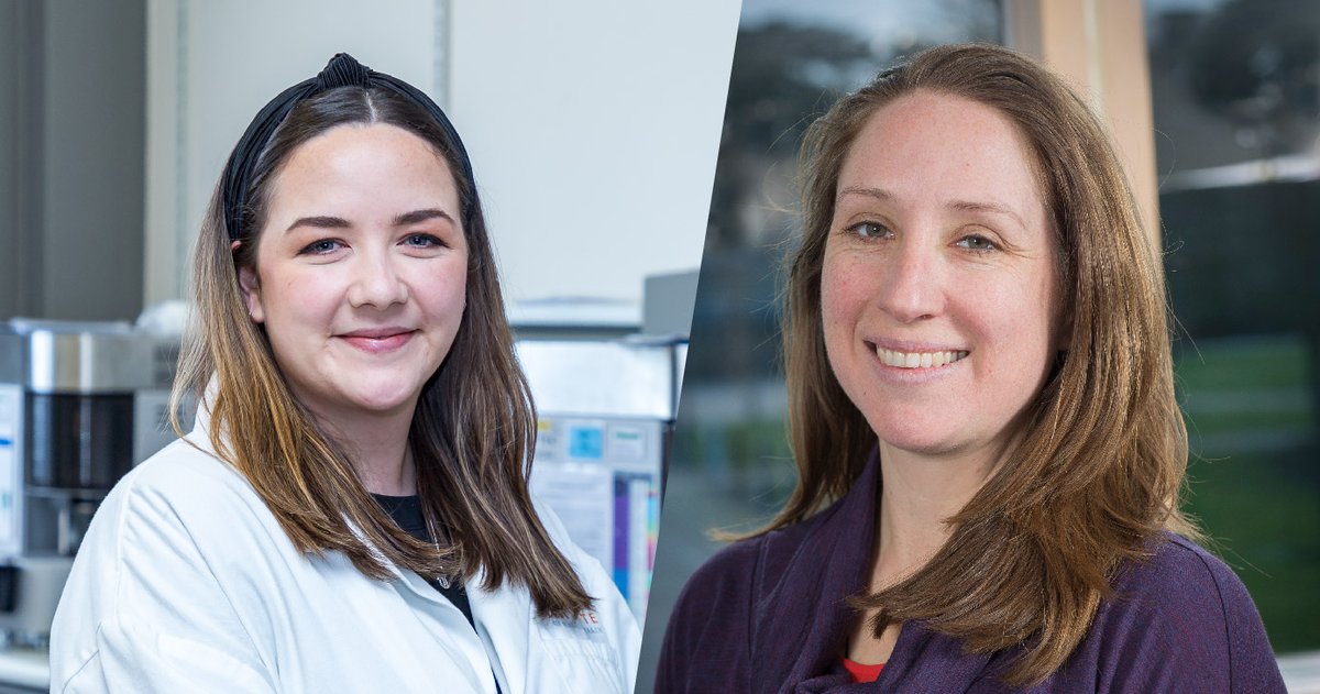 Collaboration between the Malaghan Institute and Cambridge's The <a href="/BabrahamInst/">Babraham Institute</a> has been strengthened with an International Partnering Award from the <a href="/UKRI_News/">UK Research and Innovation</a> to research the #ageing #immunesystem.

malaghan.org.nz/news-and-repor…