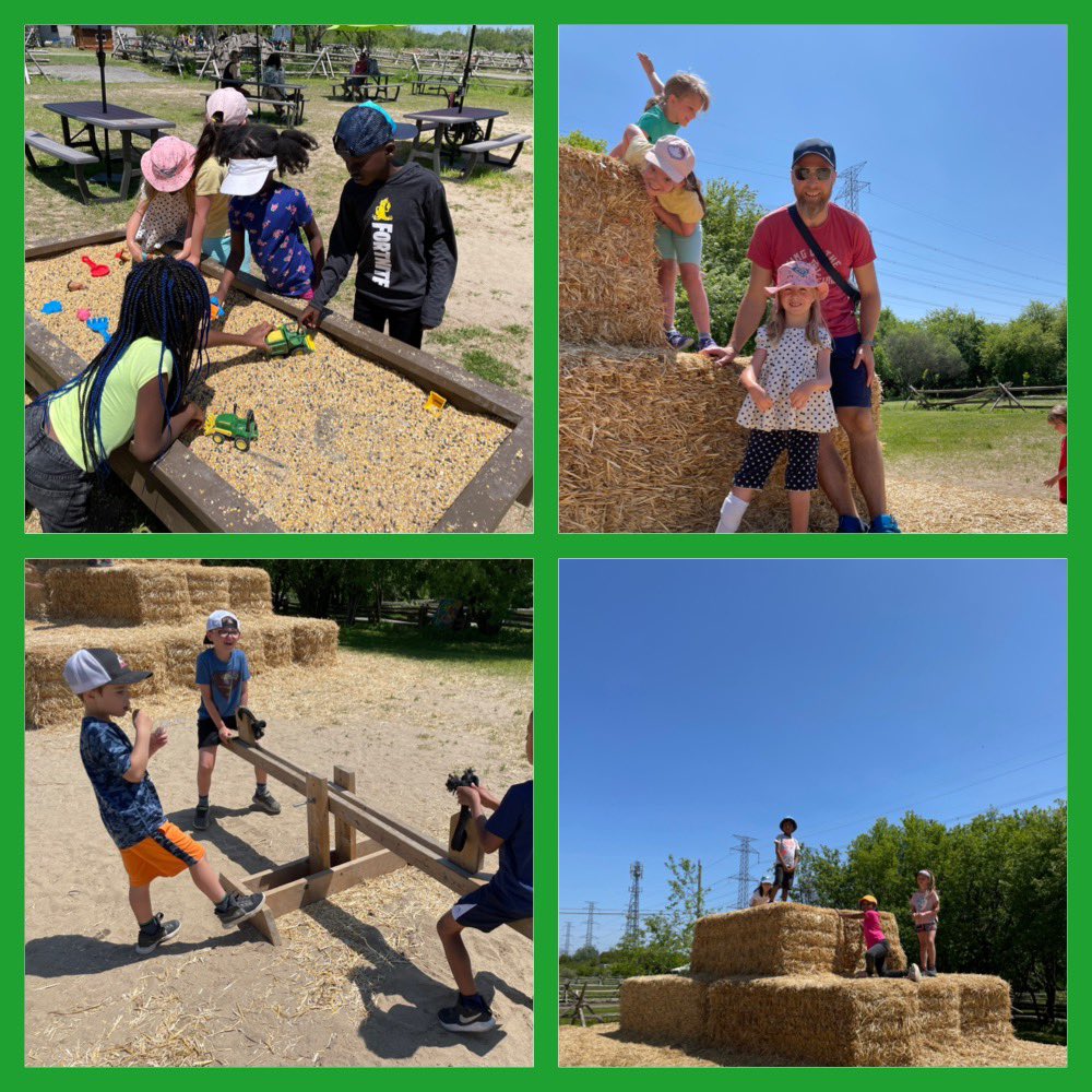 Colleen Chisholm-Bennett tweet media