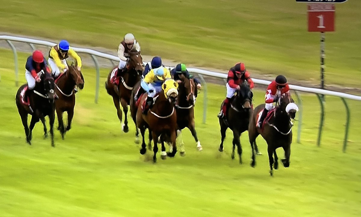 amajox's tweet photo. #FirstRideFirstWin Big congrats 16 year old @amajox @jack_nicholls_ WINS @Redcarracing #HurtYouNever @Trotternicholls @Adriannicholl18 #9ran What a ride! Well done Jack! #DayToRemember #DreamStart #topride #topjockππ€©ππππ https://t.co/kgoRFPkxAE