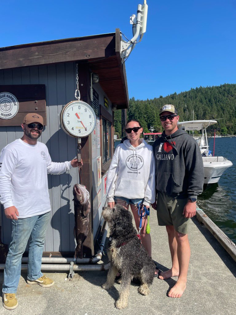 Cory Matheson tweet media