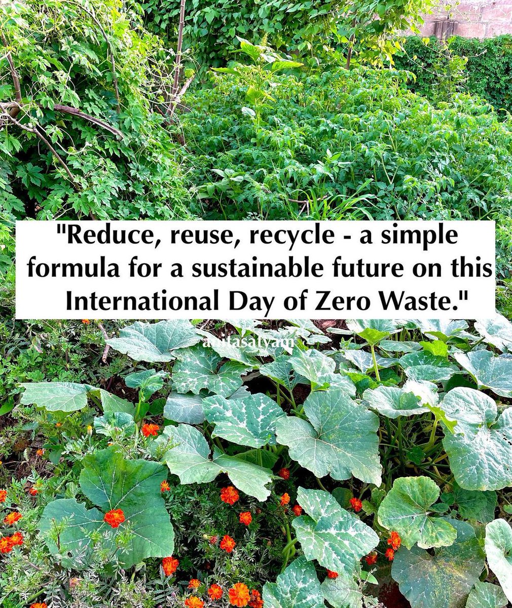 International Day of Zero Waste🌐

#ZeroWasteDay #BeatWastePollution
#zerowaste #sustainableliving #plasticfree #ecofriendly #reducewaste #wastefree #zerowasteliving #ecolifestyle