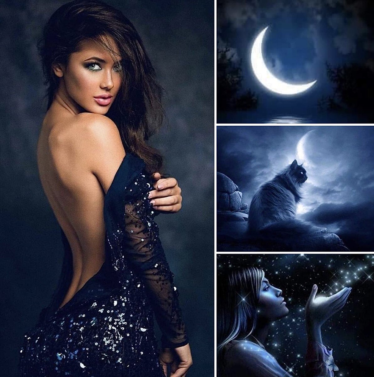 Cathhewat123's tweet photo. Goodnight friends 🖤🔹💙🔹🖤
See you tomorrow 💙🔹🖤🔹😘 https://t.co/ren9x6mEMM
