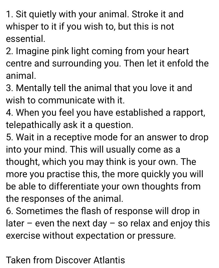 A nice meditative exercise with a pet or other animal.

Enjoy!

#wicca #witch #witchcraft #spiritualawakening #inspiration