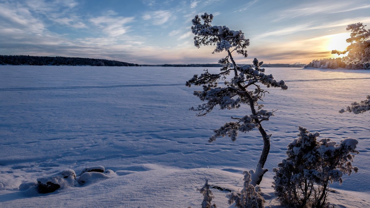 lashawnavyl's tweet image. ⛩ The biggest adventure you can ever take is to live the life of your dreams.