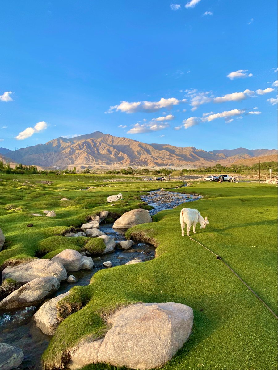 colangeloTest's tweet image. 