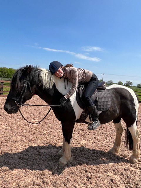 MountGroupRDA's tweet image. Well loved ponies!