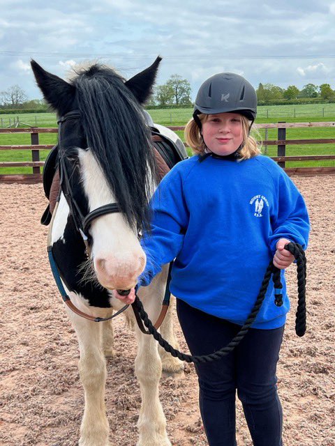 MountGroupRDA's tweet image. Well loved ponies!