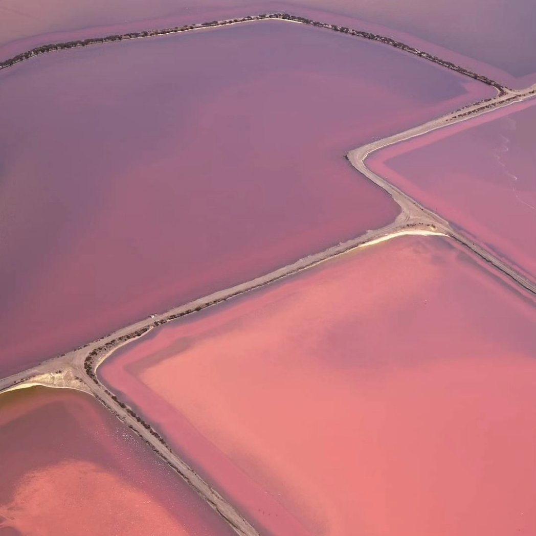 In the pink: colours and patterns of the Camargue - from above 
#travelphotography #aerialphotography #ThePhotoHour