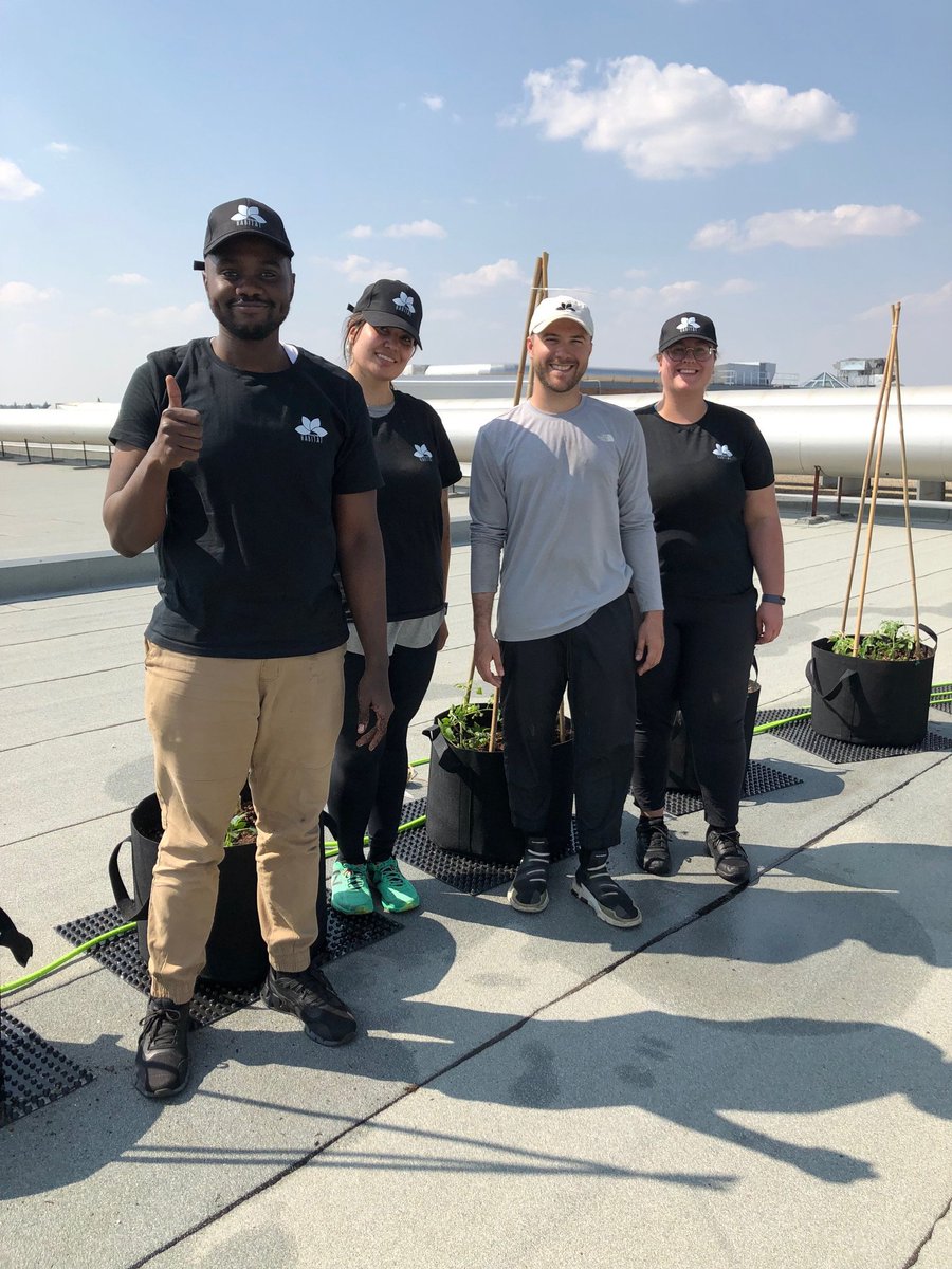 There's something exciting happening on the rooftop @kingswaymall. They are growing a rooftop garden to donate to Edmonton's Food Bank! Experts from @microhabitat_ca were finishing the setup late last week. SUCH a great idea. Thank you! #yeg #edmonton