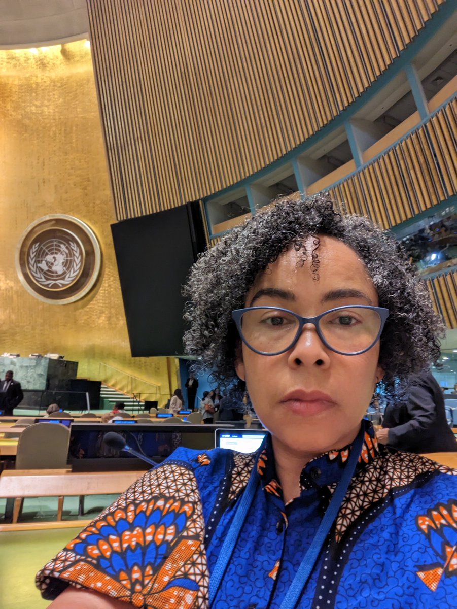 #PFPAD first meeting at UNHQ
Main calls: 
* For the UN decade of people of African descent to be renewed for another 10 years because we have regressed
* For reparatory justice determined by people of African descent, not descendants of perpetrators