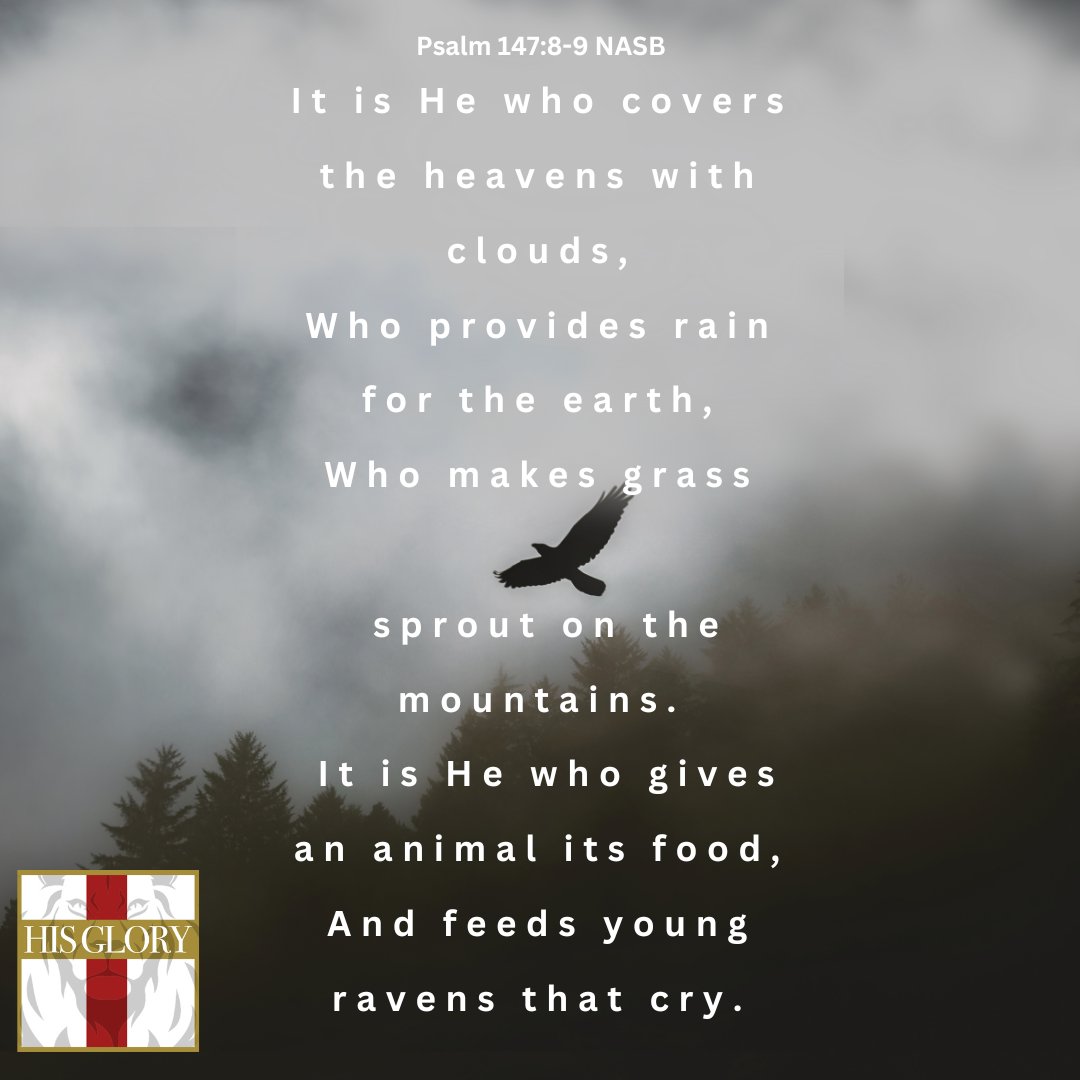 HISGLORYME's tweet image. Psalm 147:8-9 NASB 
hisglory.me
 
#faithoverfear #relationshipwithGod #JesusisLord #Godisgood #Creator #Fatherinheaven #Jesussaves #bible #bibleverse #raven #pray #fellowship #encourage #praisethelord #worship #blessthenameoftheLord #blessing #savedbygrace