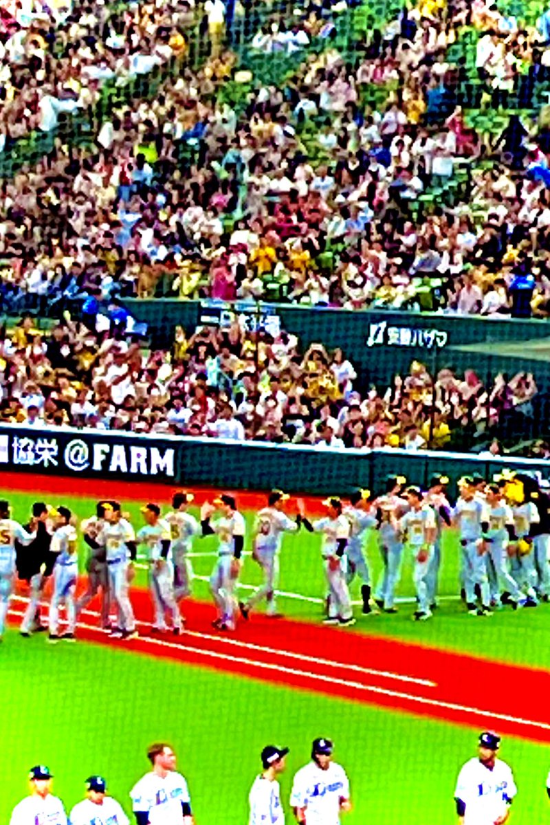 ちゃんと捕る⚾️
　しっかり走る💨

やるべき事を逆算し
　'普通'に動く💫

'普通'が一番、難しい💦
　なるほど✨強い理由💪

改めて勉強になりました🙂📚

#ベルーナドーム #セパ交流戦
#阪神タイガース