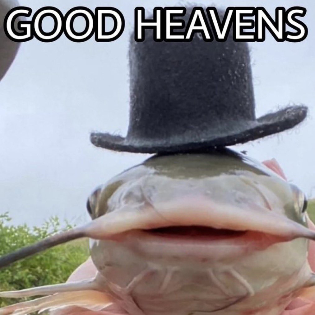 Patrick Dost (@patrickedost) on Twitter photo 