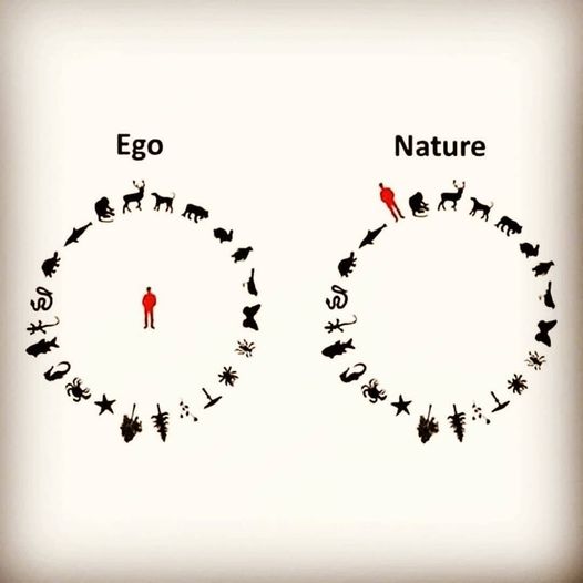 Bisman_UU's tweet photo. #ego #nature #circleoflife #bismanuu #bismarcknd #mandannd #NorthDakota #onewitheverything #uutwitter https://t.co/n7HKnSGOoN