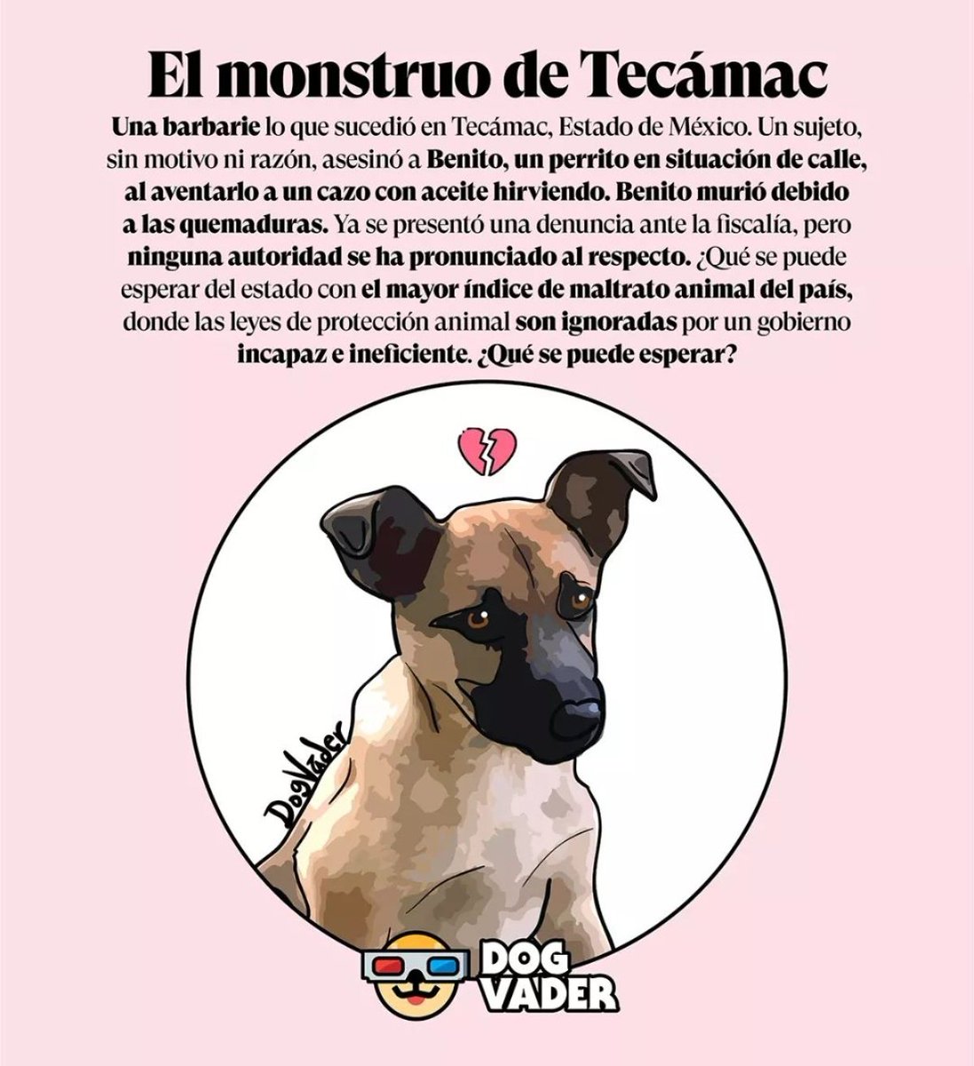 Elisaflgl's tweet photo. #JusticiaparaBenito

@Claudiashein @lopezobrador_ @m_ebrard @ElUniversalCtg @TimeOutMexico @adn40 @lajornadaonline @AristeguiOnline @lopezdoriga @ChumelTorres https://t.co/t3ByigywOG