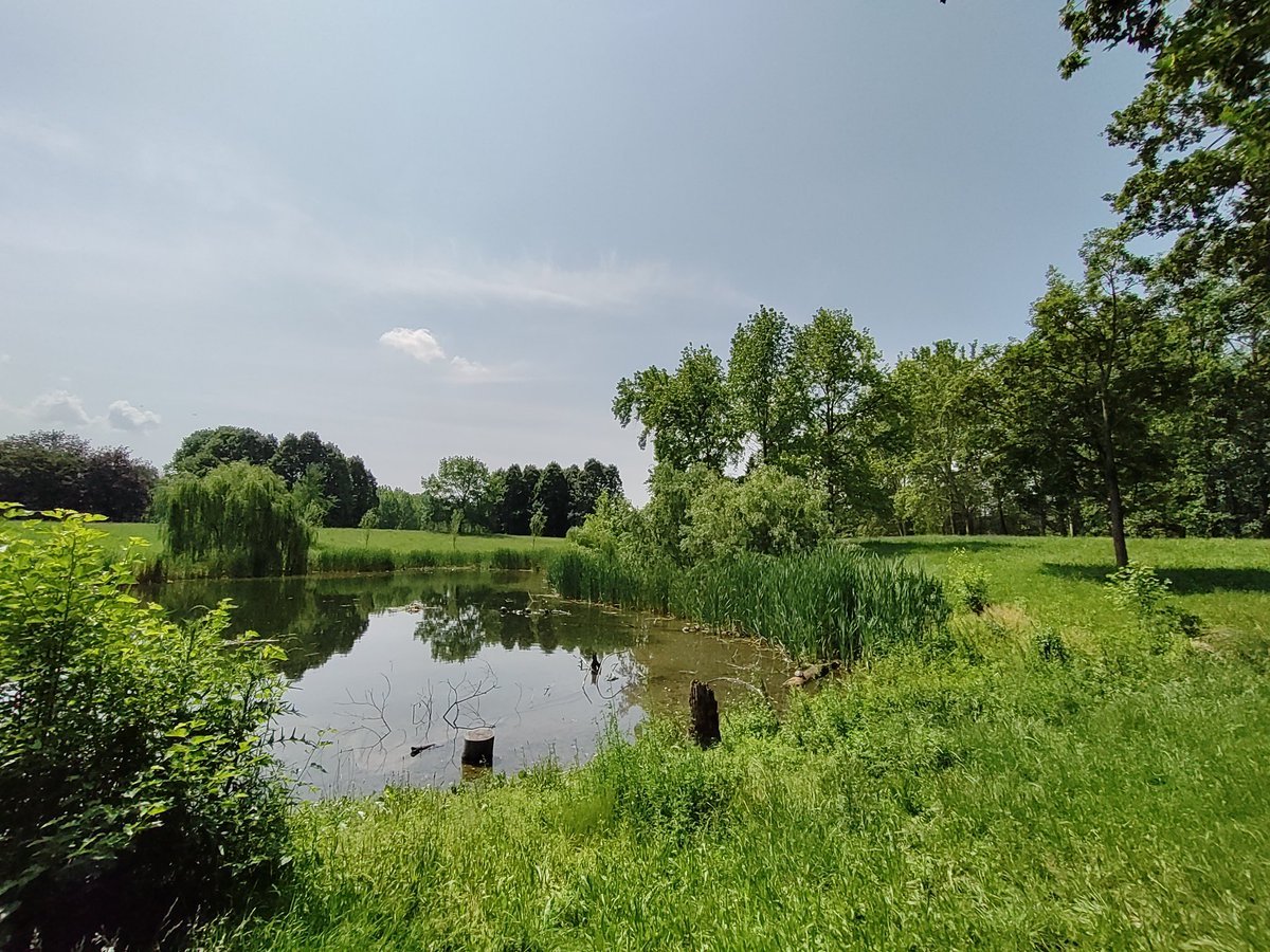 MatteoChialva's tweet image. A great field season across urban biomes has just began! The joining of science and art at our last site in Torino really made our day amazing. We&apos;re almost ready for a crazy Italian soils tour! @nbfc_italy @dbiosunito @ElenaPiano2 #biodiversity #Spoke5 #pitfall #microbiota #soil