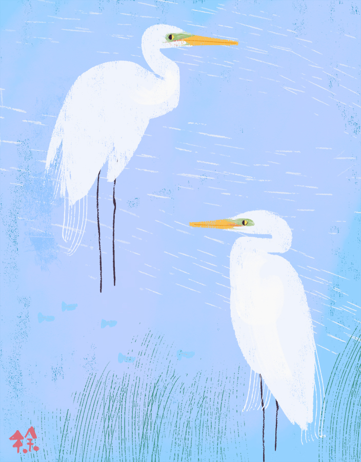sameraxu's tweet photo. Egrets at the river https://t.co/Df7YzGvr9d