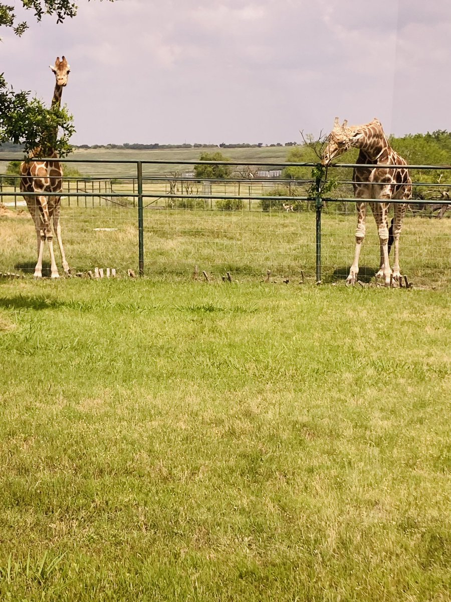 USGBC Texas tweet media