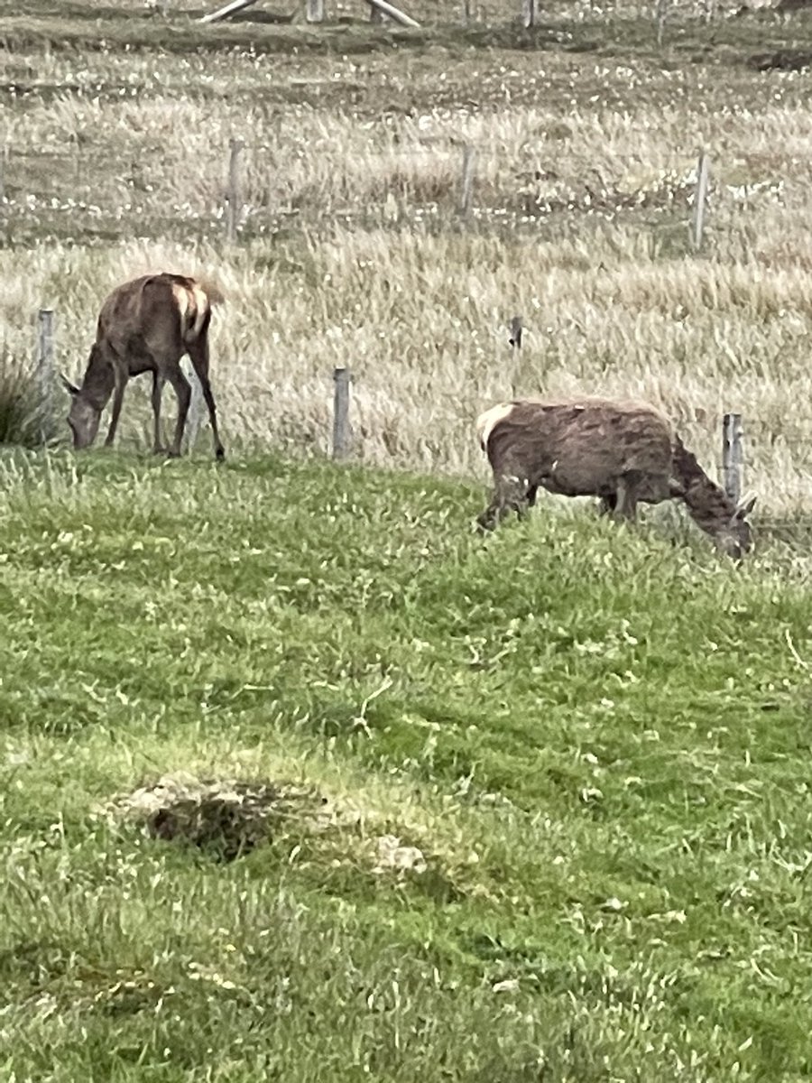 First few days of fishing holiday done,  great wether, great views, plenty fish and wildlife.  #northuist