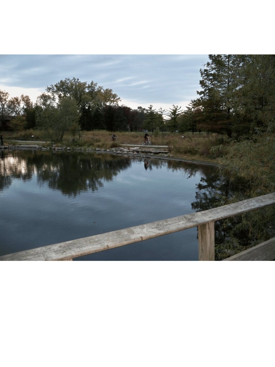 debra_organ's tweet image. Coming soon to my blog views of  Praire restoration, before the restoration began, Maine Park Prarie Preserve Park Ridge Illinois , USA Wildwood Prarie,  #prarie,#naturepreserve,#prariesrestoration,#environment, #naturelovers