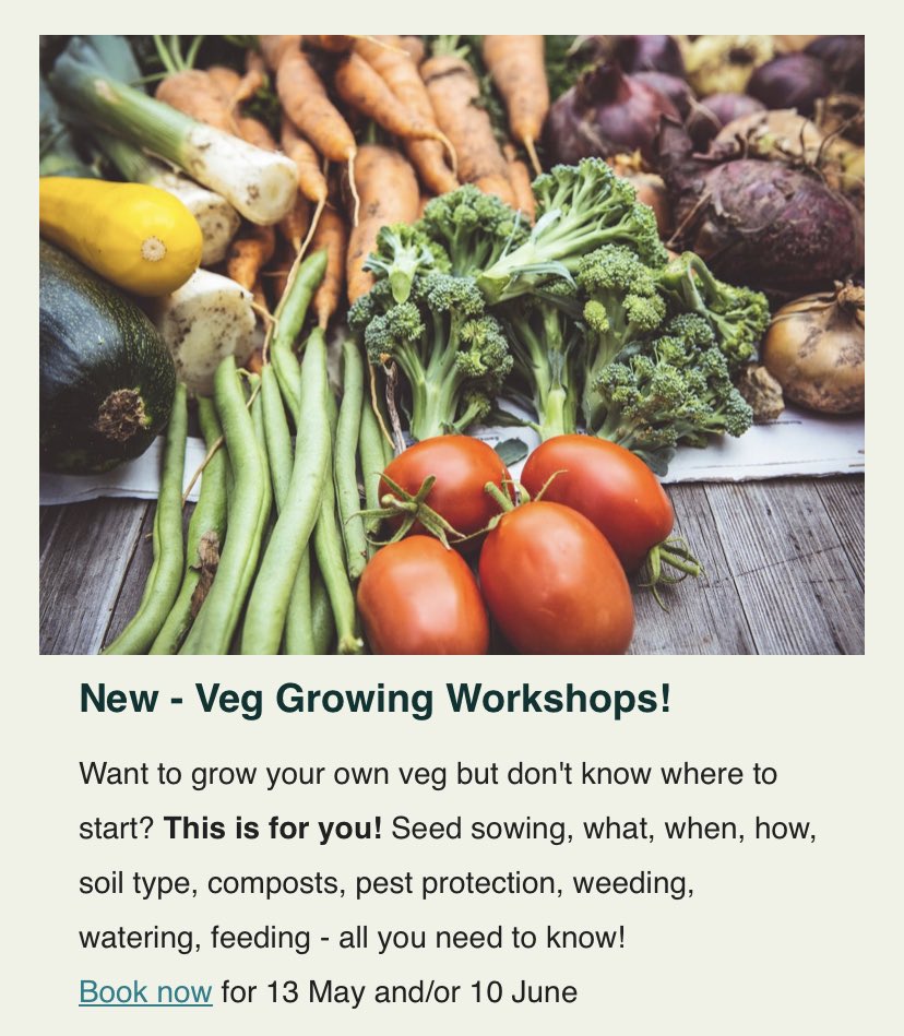Still spaces on our June veg growing workshop with ‘grow your own’ wizard Steve Granger. 
Everything you need to know to make the most of the warm weather and long days and grow the food you love! 
What are you waiting for?!?
trianglegarden.org/events 
#veggrowingtips 
#vegworkshop