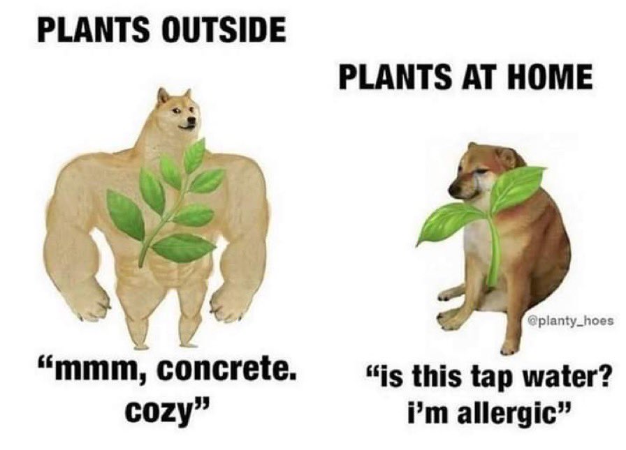 non aesthetic things (@picturesfoider) on Twitter photo 