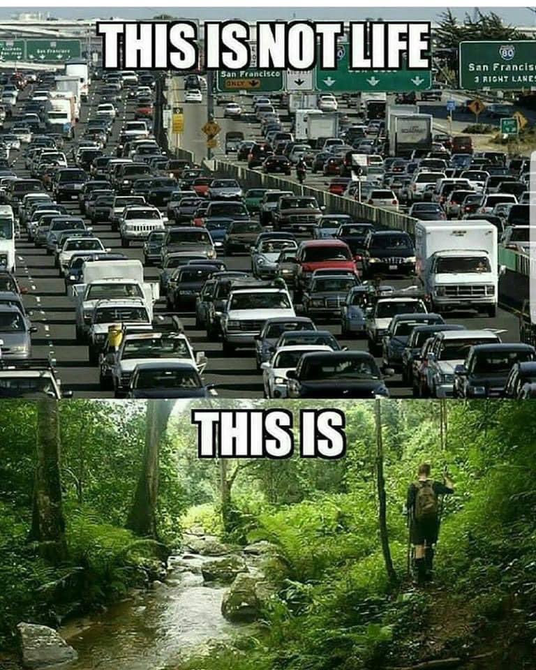 CLIMATTERS tweet media