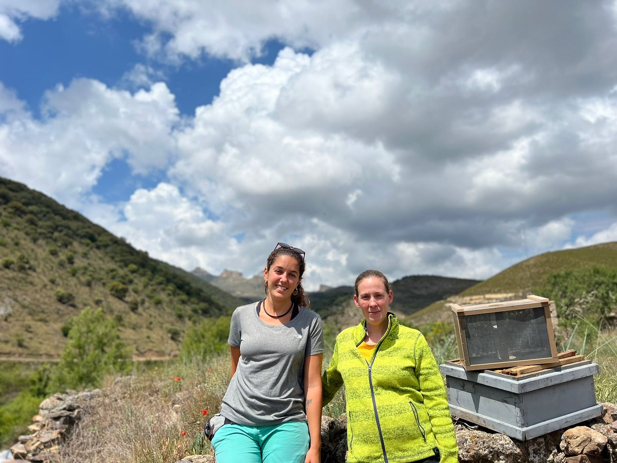 En su 2. ª jornada #CULTIVA22, Natalia se ha puesto el traje para conocer a las pequeñas habitantes de la explotación Abejas del Moncayo 🐝🐝

¡Esta experiencia en el #ProgramaCULTIVA pinta muy bien! 👌

#CultivaConUPA