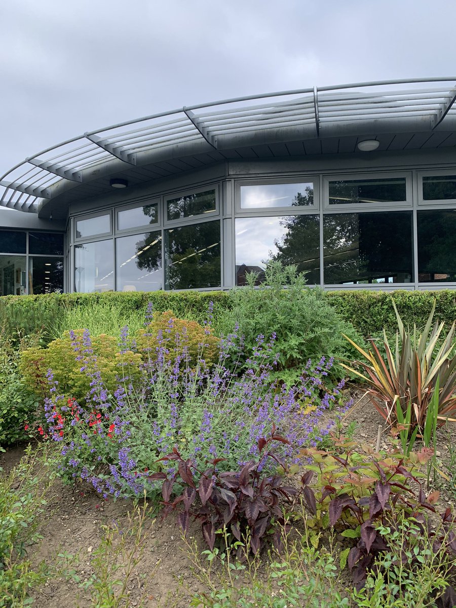 trentgrounds1's tweet photo. The Obolensky bank always looks beautiful at this time of year. Such great colours https://t.co/8cgFpMcpZZ