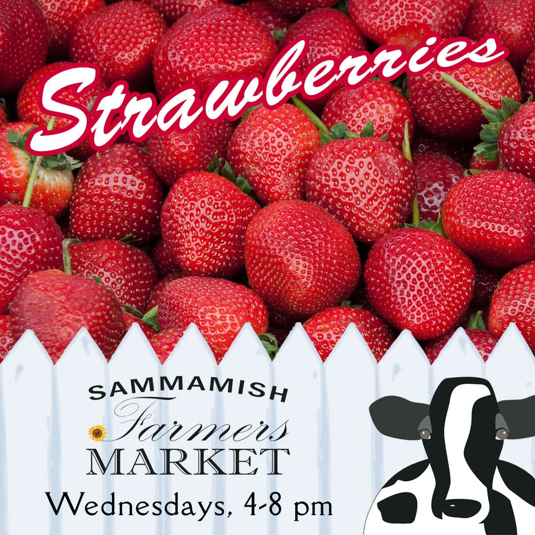 Breaking News: Strawberries arrive at the #SammamishFarmersMarket tomorrow! #FarmersMarket #GrowLocal #BuyLocal #SammamishLife