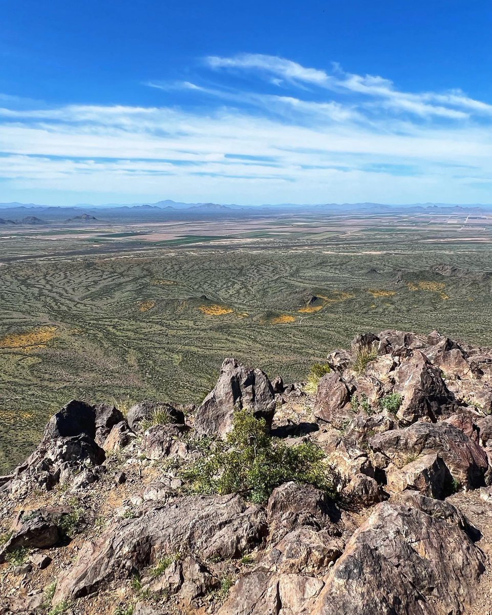 Happy 55th anniversary, Picacho Peak State Park!🌵🏜️ @AZStateParks 
••••••••
#picachopeak #azstateparks #exploreaz #hikeaz #dirtandvert #trail #trailcam #trailtuesday #optoutside #desertlife #tucson #arizona