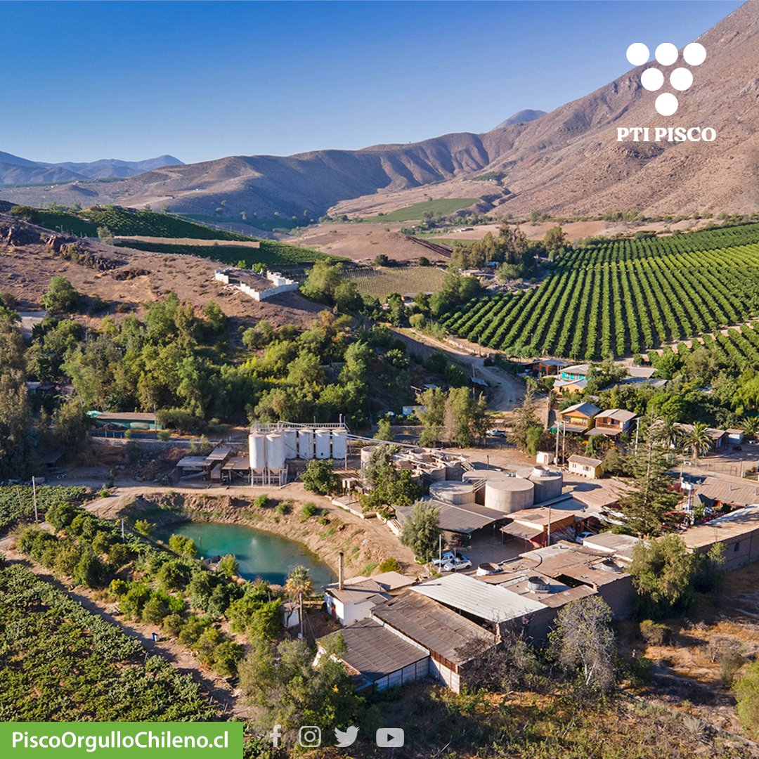 Descubre los tesoros de Chile, donde nace nuestro preciado pisco. Desde el soleado Valle de Elqui en la Región de Coquimbo hasta el hermoso Valle del Huasco en Atacama, nuestra geografía se une para crear las condiciones perfectas para el cultivo de uvas pisqueras.