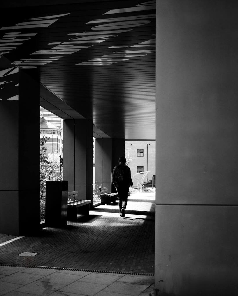 I grew the cats some cat grass and it’s turned out to be the one plant I’ve ever had that they aren’t interested in at all. Of course.

/ / /

📸 Fujifilm XT3
📍 Temple Quay, Bristol

/ / /

#bnwstreet #bnw_shot #ig_shotz_bw #igers_bnw #bwstreet #bnw_ … instagr.am/p/Cs3_hSBIPSs/
