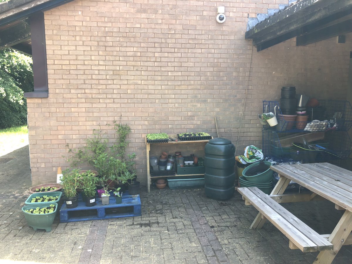 CoralineT88's tweet image. every day I come into placement and I find more and more plants and flowers donated for the gardening project . it’s so nice to see people getting involved! #otstudent @GlyndwrOT #gardening #horticulturetherapy