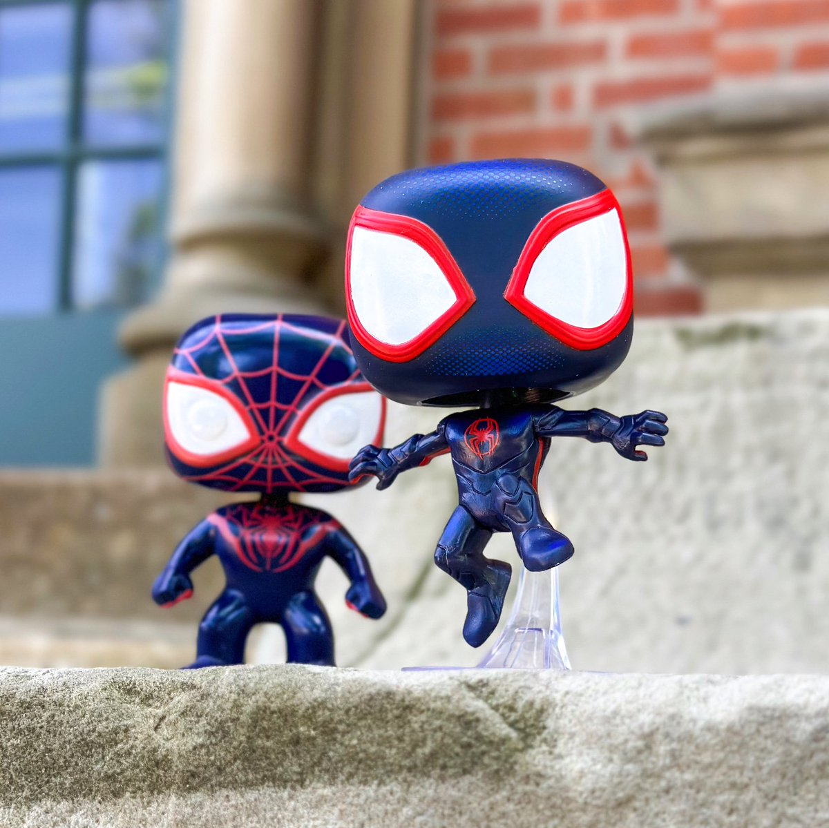 Countdown to Across the Spider-Verse: 
Miles Morales #poptwinstuesday 
#milesmorales #acrossthespiderverse 

@originalfunko 
#funkophotography 
#funkofunatic 
#myfunkostory