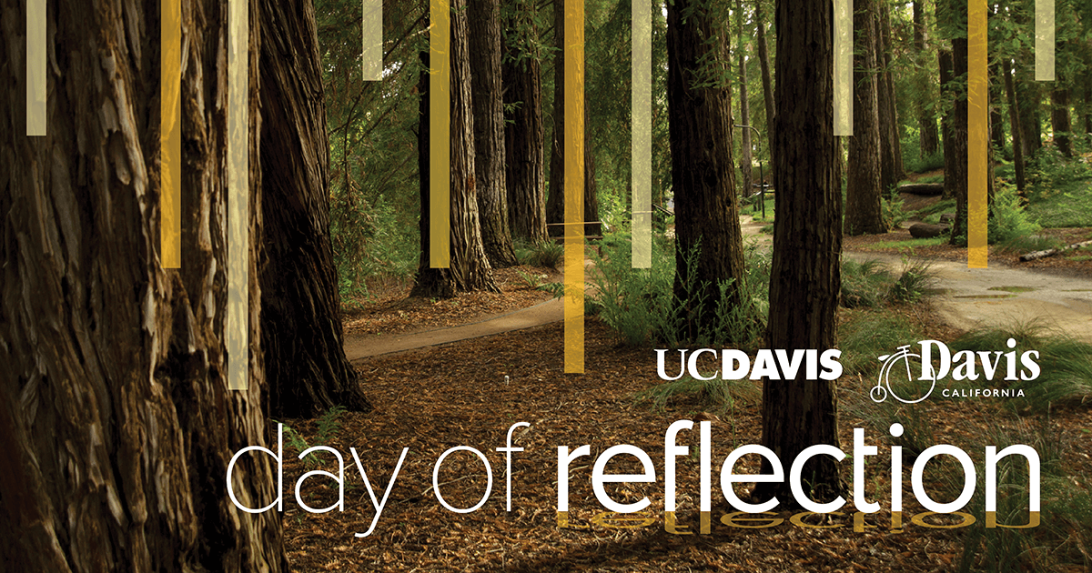 On June 1, all in Davis are invited to reflect and reconnect for the Davis Day of Reflection. This is a self-paced event for quiet contemplation and shared conversations around loss, connection &amp; hope. #DavisReflections <a href="/ucdavis/">UC Davis</a> <a href="/UCDavisDateline/">Dateline UC Davis</a> 
reflections.ucdavis.edu