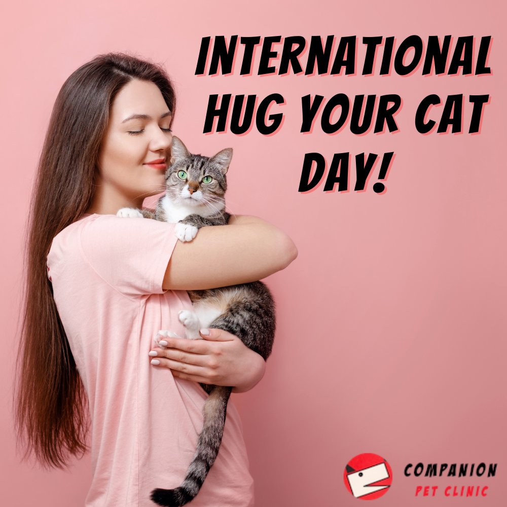 Today is International Hug Your Cat Day, which is a purr-fect opportunity to lavish your cat with hugs and pamper her as she deserves!
#CompanionPetClinic #NorthPhoenix #veterinarian #hugyourcat #internationalhugyourcatday #hugs #cats #lovecats https://t.co/YQLktO7MKb