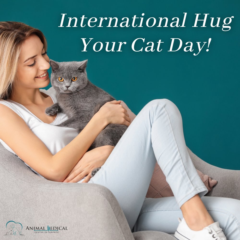 Today is International Hug Your Cat Day, which is a purr-fect opportunity to lavish your cat with hugs and pamper her as she deserves!

#AnimalMedicalCenter #SurpriseAZ #veterinarian #hugyourcat #internationalhugyourcatday #hugs #cats #lovecats https://t.co/7Hr2OY565t