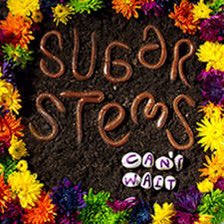 #NowListening 
#5albums13 
The Sugar Stems
Can’t Wait 
#PowerPop
#Milwaukee