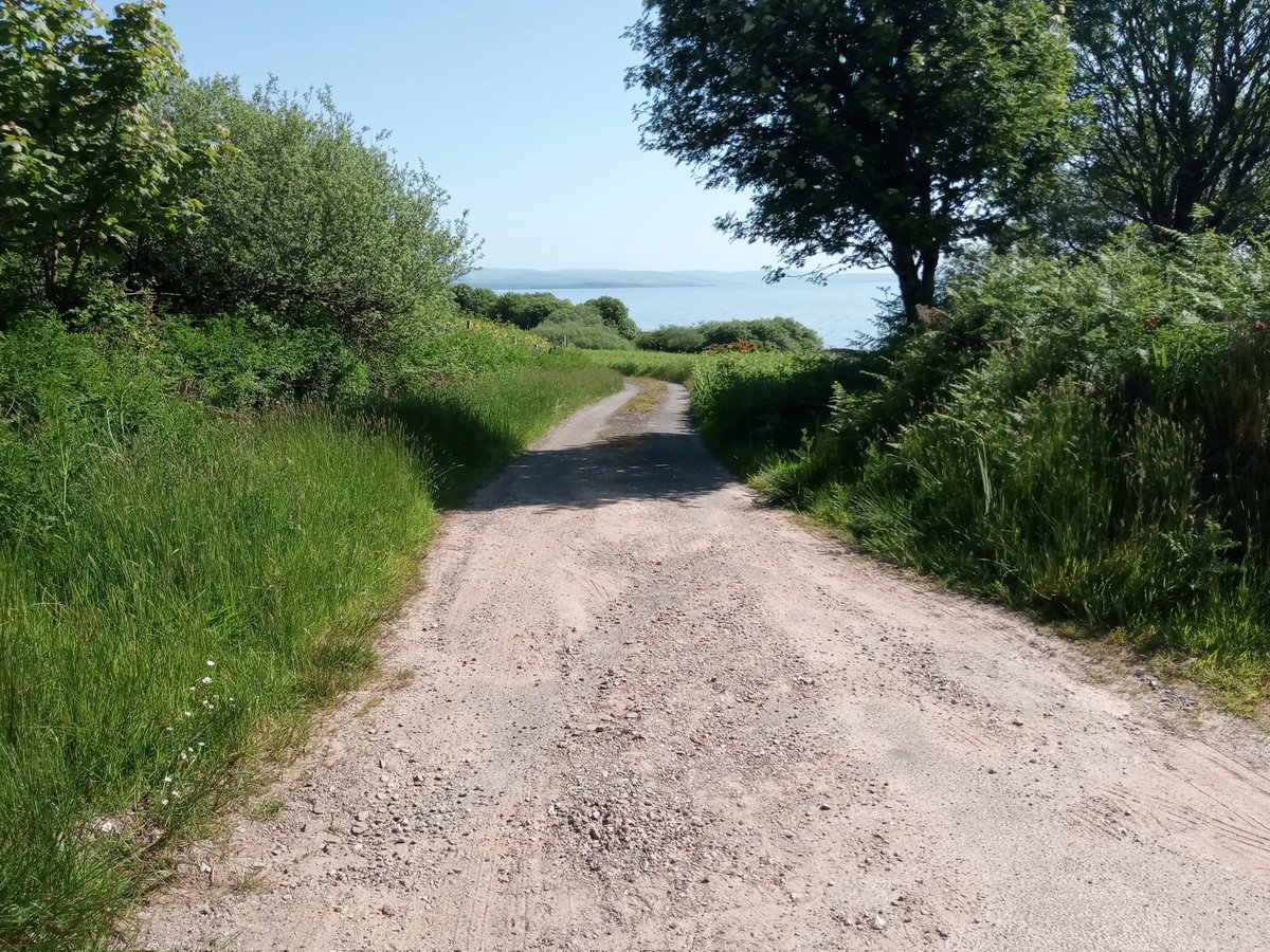 NimmoJan's tweet photo. Gorgeous day for a run in North Kintyre. 12k of stunning views and lovely weather - a bit warm going uphill but feeling all the better for it!
#Kintyre #Arran #Skipness #RunningRoutes #Argyll https://t.co/eWwp7Nxakx