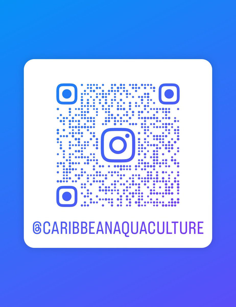 Want to know more about whats happening around the Caribbean #tilapia #seaweed #conch #ornamentalfish #seacucumbers #marinefish #oysters 
Follow us and lets make  1000!

instagram.com/caribbeanaquac…