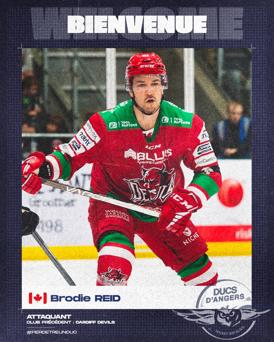 DucsdAngers's tweet photo. ✍️ | 𝗔𝗿𝗿𝗶𝘃𝗲́𝗲

Un visage bien connu… Il a évolué en AHL, EBEL ou encore EIHL avec @cardiffdevils dernièrement, 𝘽𝙧𝙤𝙙𝙞𝙚 𝙍𝙀𝙄𝘿 (🇨🇦) arrive dans notre équipe ! L’attaquant de 33 ans vient apporter toute son expérience et son talent 🏒

#SportAngers | #LaDalleAngevine https://t.co/LicM6YyHoT