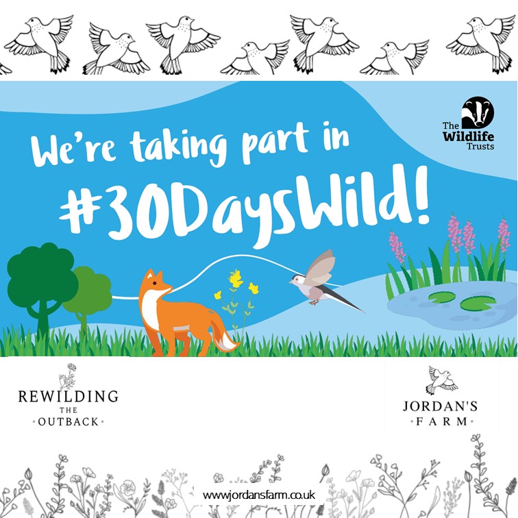 @EssexWildlife  Trust are organising #30dayswild starting on the 01/06/23. So I am going to join in!   To keep the #greenactions that will benefit us all at the forefront of peoples minds!

#wildifetrusts #essex #jordansfarm 
#essexwildifetrust #MakeSpaceForNature #rewilding