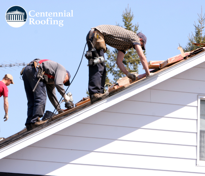 CentennialConTN's tweet photo. Regular maintenance completed by an experienced roofing company like Centennial Roofing can help extend the roof's lifespan and ensure the safety of occupants. Give us a call. #Roofer #Roofing #InsuranceRestoration #MiddleTN #LeadersYouCanTrust #Residential #Commercial https://t.co/vSENZVmDiQ