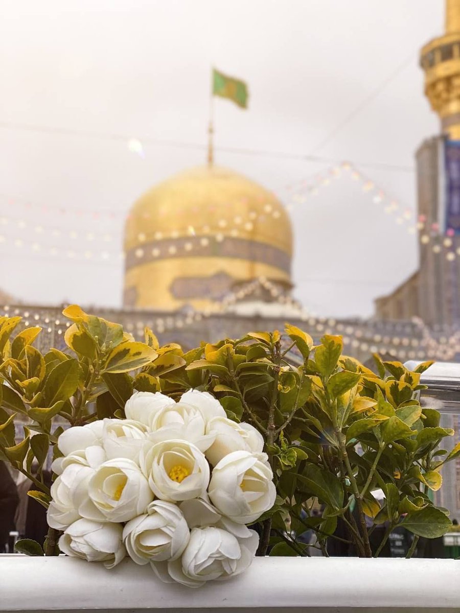 السَّلامُ عَلَىٰ عليّ بنَ موسَىٰ الرضا 🤍🕊️