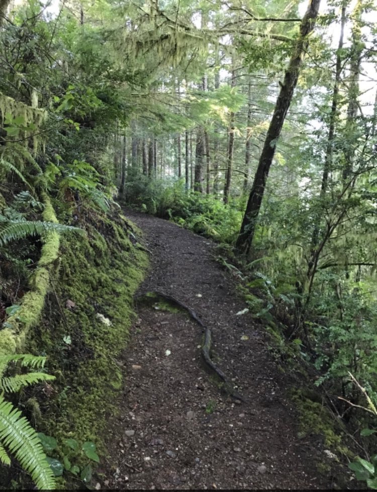 <a href="/TheTravelCamel/">Shane Dallas</a> <a href="/t_jh2009/">TimH</a> A1. Twanoh State Park has nice forest trails and also access to the water. Recommend for a couple hour stop on a road trip or relaxing park outing. 🗺️: rblr.co/0Qopl #TRLT