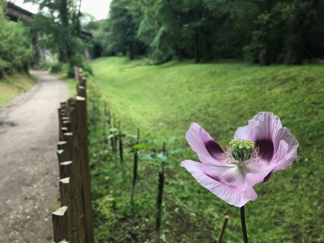 St Austell Bay Resilient Regeneration (StARR) Proj (@starrscheme) on Twitter photo Seems a lifetime ago since Par River #flood works at Ponts Mill also created a woodland glade for people and nature 🌧️💧🌱🌺🌳🦋 #wellbeing
⏩ ow.ly/tfiz50OwQls
<a href="/CornwallCouncil/">@cornwallcouncil</a> <a href="/EnvAgencySW/">Environment AgencySW</a> <a href="/SouthWestWater/">South West Water</a> <a href="/WestcountryRT/">Westcountry Rivers Trust</a> <a href="/UniofExeterESI/">Uni of Exeter's ESI</a> <a href="/PaulineGiles/">Pauline giles BEM</a> <a href="/CwllCFloodForum/">Cornwall Community Flood Forum (CCFF)</a> Seems a lifetime ago since Par River #flood works at Ponts Mill also created a woodland glade for people and nature 🌧️💧🌱🌺🌳🦋 #wellbeing
⏩ ow.ly/tfiz50OwQls
<a href="/CornwallCouncil/">@cornwallcouncil</a> <a href="/EnvAgencySW/">Environment AgencySW</a> <a href="/SouthWestWater/">South West Water</a> <a href="/WestcountryRT/">Westcountry Rivers Trust</a> <a href="/UniofExeterESI/">Uni of Exeter's ESI</a> <a href="/PaulineGiles/">Pauline giles BEM</a> <a href="/CwllCFloodForum/">Cornwall Community Flood Forum (CCFF)</a>