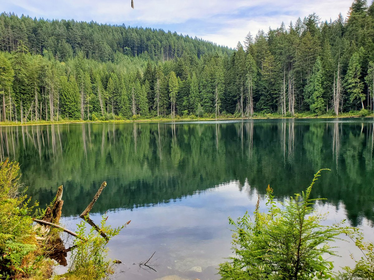 A1:  forests that I would recommend to visit would be any of British Columbia's temperate rainforests.
📸: B.C. 🍁
#TRLT